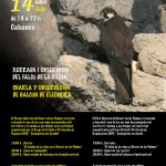 Poster-Falco-de-la-reina-20