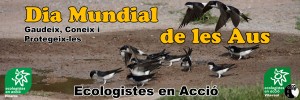 pancarta_dia_aus_cs-(1)