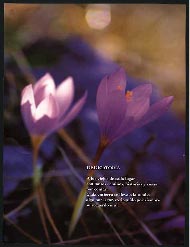 40rutas2.jpg (13530 bytes)