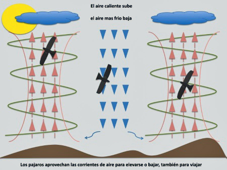 http://www.edmkpollensa.com/wp-content/uploads/sites/5/2015/04/2-aire-caliente-y-aire-frio-kitesurf-en-mallorca.jpg