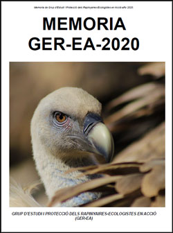 Memoria GER-EA 2020