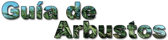 guia arbustos