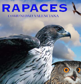 Guía de Aves Rapaces