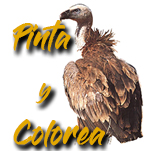 Pinta y colorea