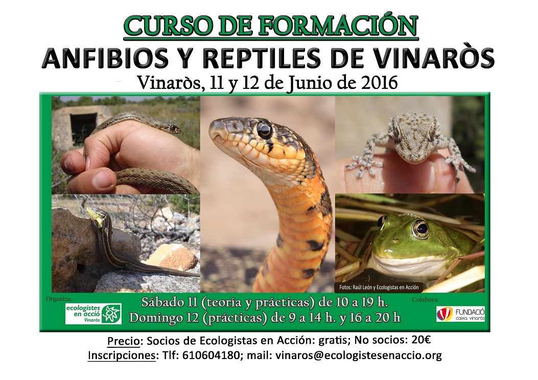 Curso Formativo Teórico-Práctico: ANFIBIOS Y REPTILES DE VINARÒS